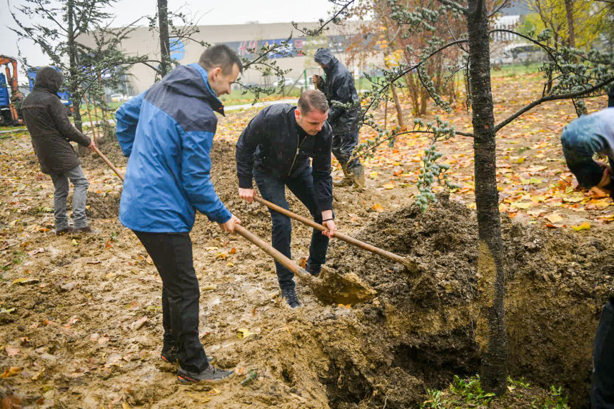 Zasađena prva stabla u novom gradskom parku