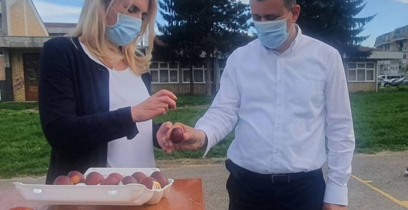 Đajić "odsvirao" svoje, traži se zamjena