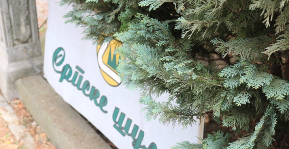 „Šume“ se guše od dugova, a uzimaju milionski kredit