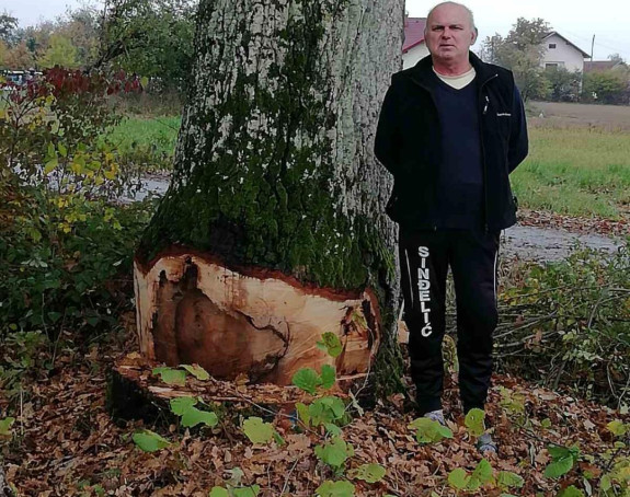 Mještani poručuju: Ne sijecite naše drvo cerovo