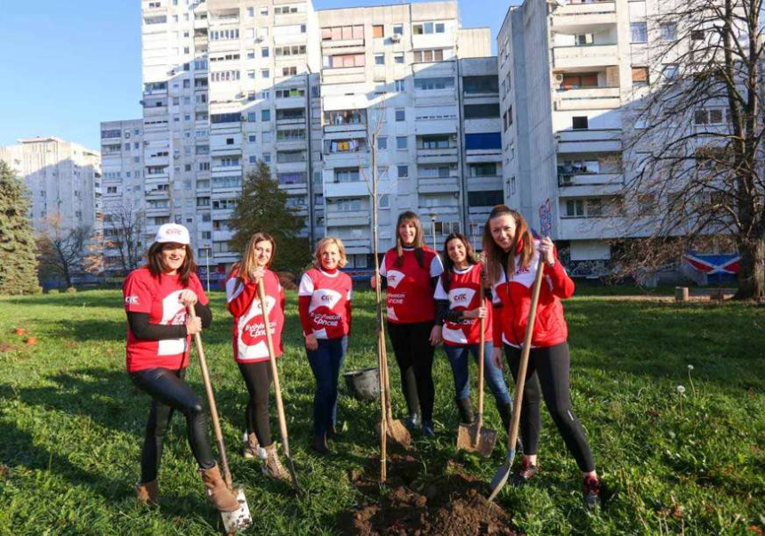 Жене СПС: Подршка акцији јесење садње