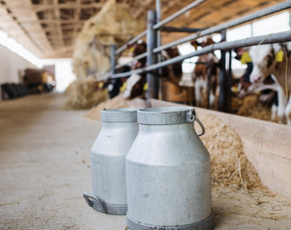 Zašto je Vlada Srpske smanjila premije za mlijeko?