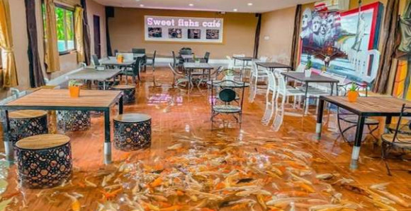 Neobični kafić na Tajlandu s ribama koje plivaju oko vas