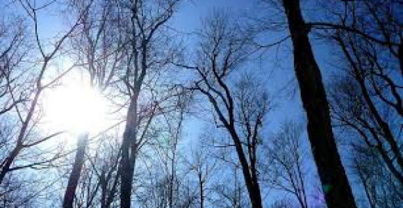 Tokom dana toplo s temperaturom do 20 stepeni