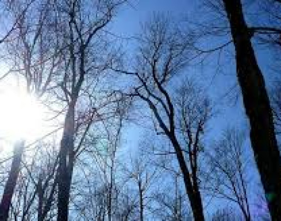 Tokom dana toplo s temperaturom do 20 stepeni