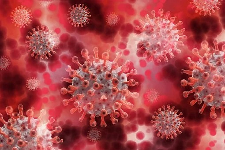 Na Kipru otkriven novi soj virusa korona "deltakron"?