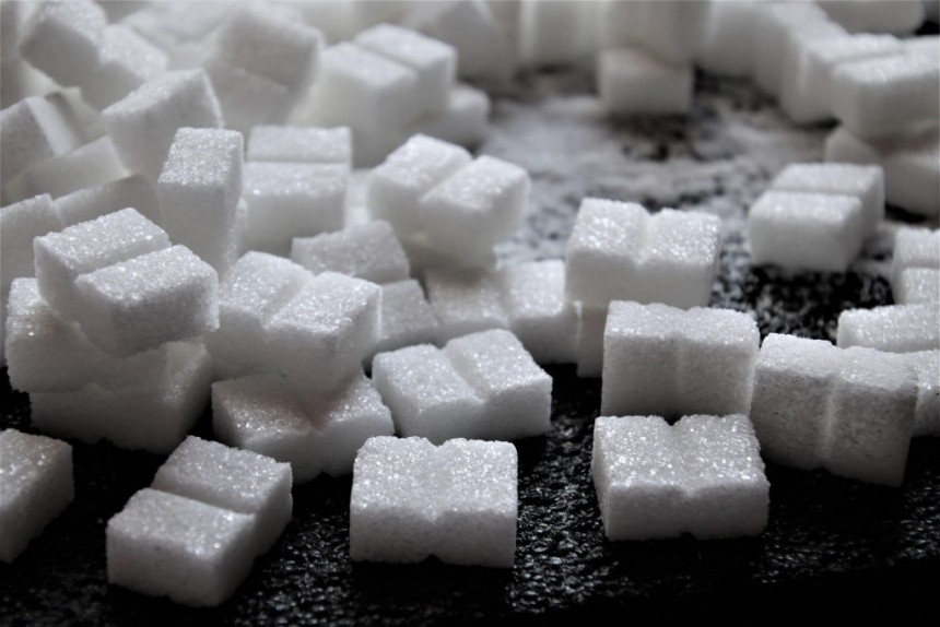 Горки дани слатке индустрије, скромна производња шећера