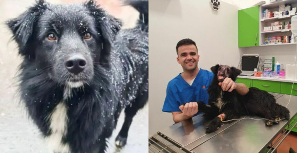 PAS heroj se uspješno oporavlja, pogledajte kako je sada srećan