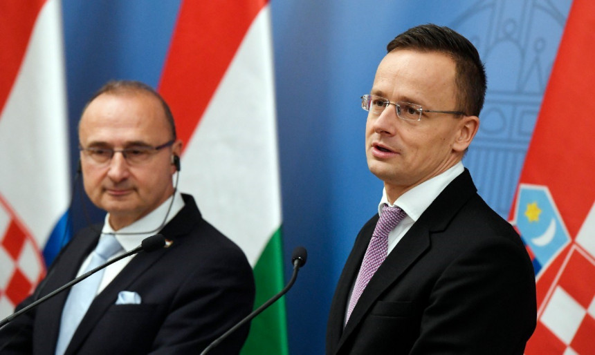 Мађарска и Хрватска једине против санкција Додику