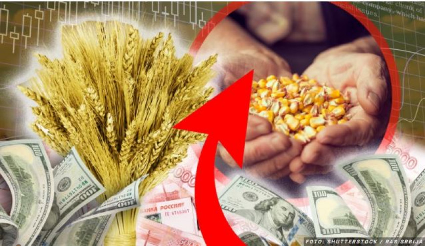 Prijeti li svijetu kriza preskupe hrane: Rusija najveći izvoznik pšenice u svijetu