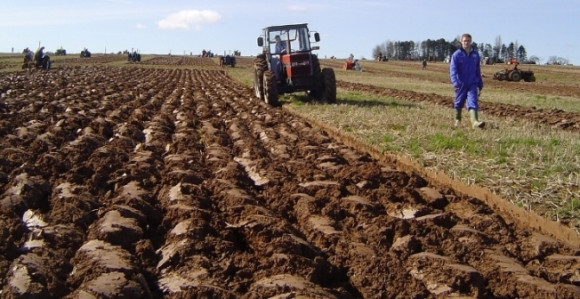 Rat u Ukrajini će uticati i na poljoprivredu