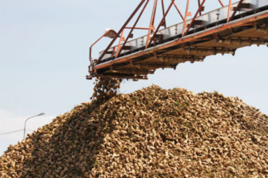 Русија забранила извоз појединих житарица и шећера