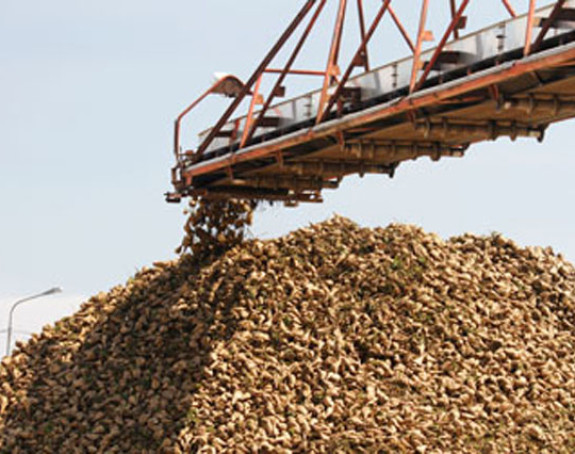 Rusija zabranila izvoz pojedinih žitarica i šećera