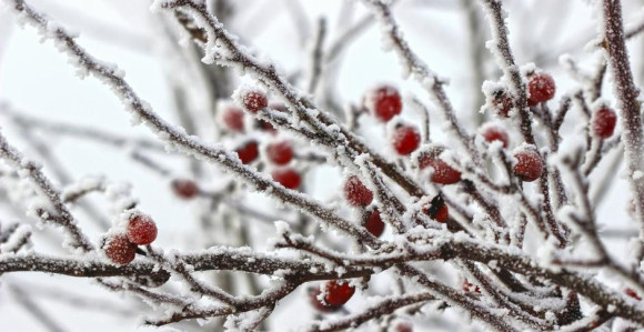 U Srpskoj pretežno vedro uz jak mraz