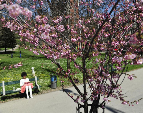 U Srpskoj vedro, uz slab mraz na planinama