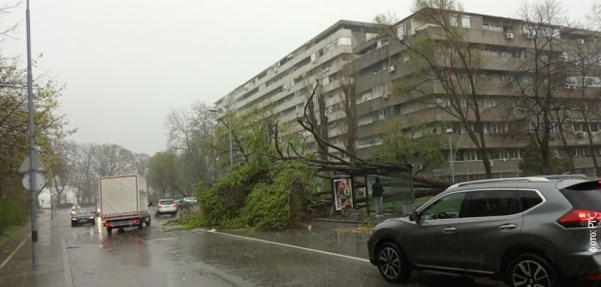 Olujno nevrijeme u Beogradu, vjetar obarao stabla