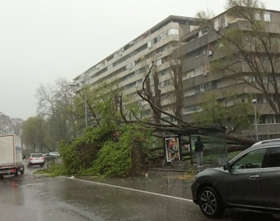 Olujno nevrijeme u Beogradu, vjetar obarao stabla