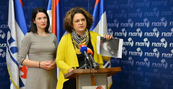 Trivić: Odakle SNSD-u pare za stranačke žurke i koncerte?