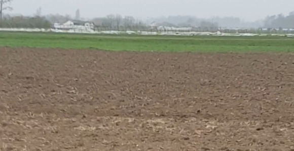 Olujno nevrijeme pogodilo sela u Semberiji
