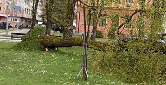 Prijedor zahvatilo nevrijeme: Vjetar čupao stabla