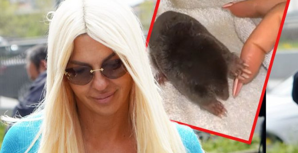 JK borac za prava životinja: Spasila i udomila krticu!?