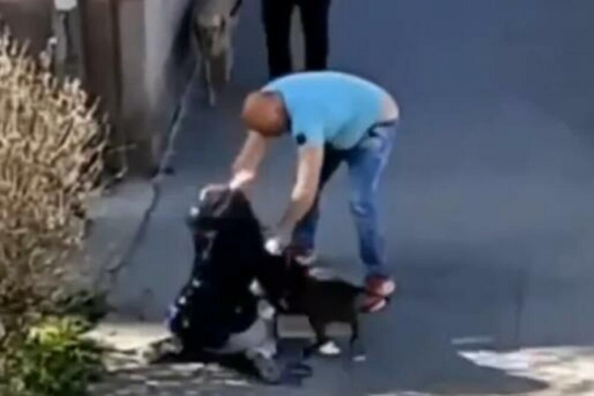 Мушкарац брутално претукао жену и пса на улици (ВИДЕО)