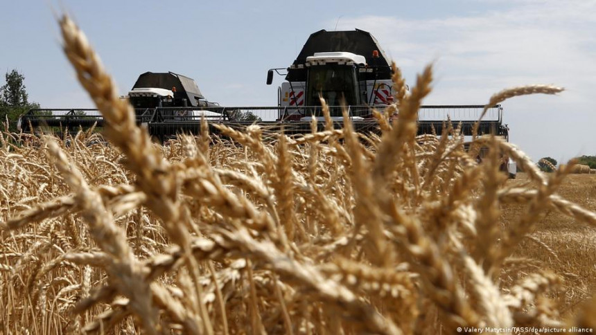 Ukrajina uzgaja dovoljno hrane za 400 miliona ljudi