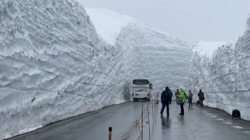 Atrakcija Japana u proleće: Smetovi visoki 20 metara sa obe strane puta!