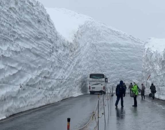 Atrakcija Japana u proleće: Smetovi visoki 20 metara sa obe strane puta!