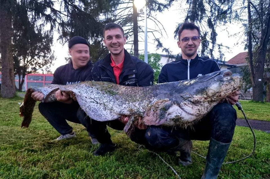 Borba sa somom: "Starac i more" na srbački način