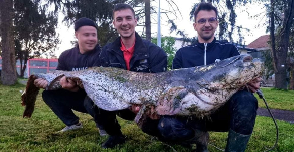 Borba sa somom: "Starac i more" na srbački način