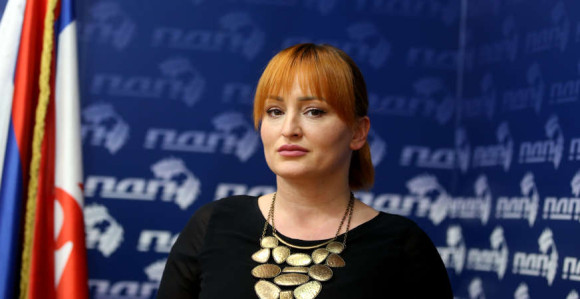 СНСД се бори за приватну државу у којој може красти
