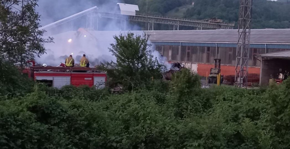 Borba sa vatrenom stihijom u fabrici papira u Maglaju