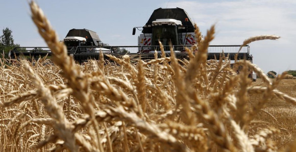 Rusi kradu žito, dio namijenjen za krijumčarenje?