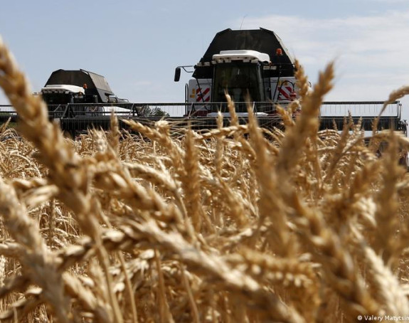 Руси краду жито, дио намијењен за кријумчарење?