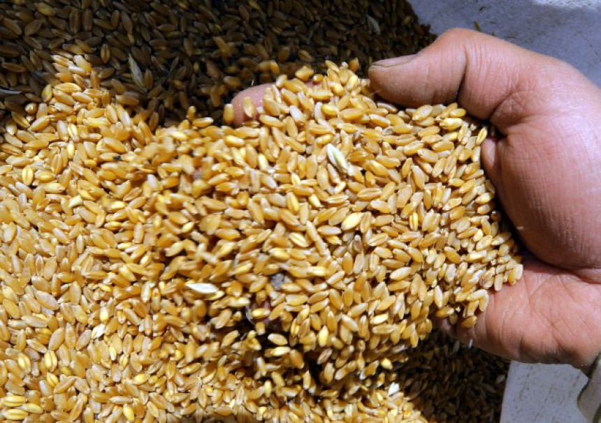Indija - drugi najveći proizvođač pšenice zabranila izvoz