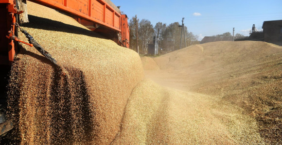 Njemačka: Zbog situacije u Ukrajini prijeti velika glad