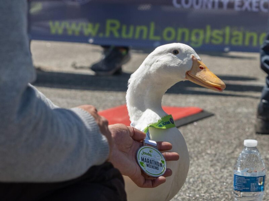 Mala patka "istrčala" pravi maraton i osvojila medalju! (VIDEO)