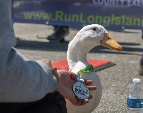 Mala patka "istrčala" pravi maraton i osvojila medalju! (VIDEO)