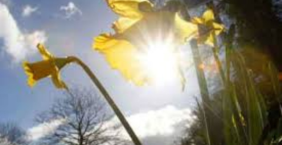 Danas pretežno sunčano i veoma toplo vrijeme