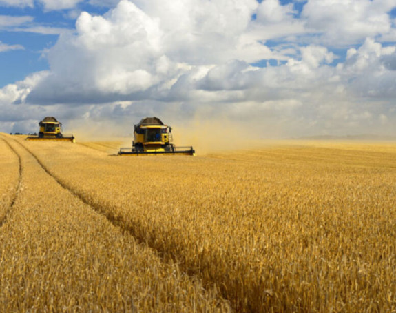 Apel na svijet: Ne zabranjujte izvoz hrane ili đubriva