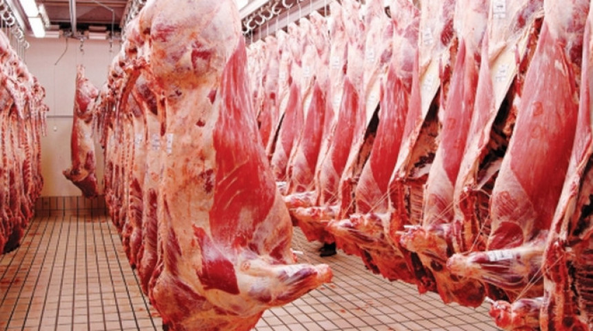 Opet kreće izvoz mesa iz BiH: 600 junadi za Tursku