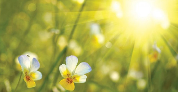 Pred nama sunčan dan: Temperatura do 33 stepena