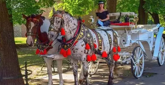 Nemica zbog štetdnje na posao dolazi konjskom zapregom!