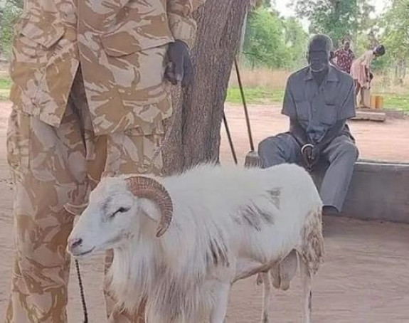 Ovan osuđen na 3 godine zatvora zbog ubistva!