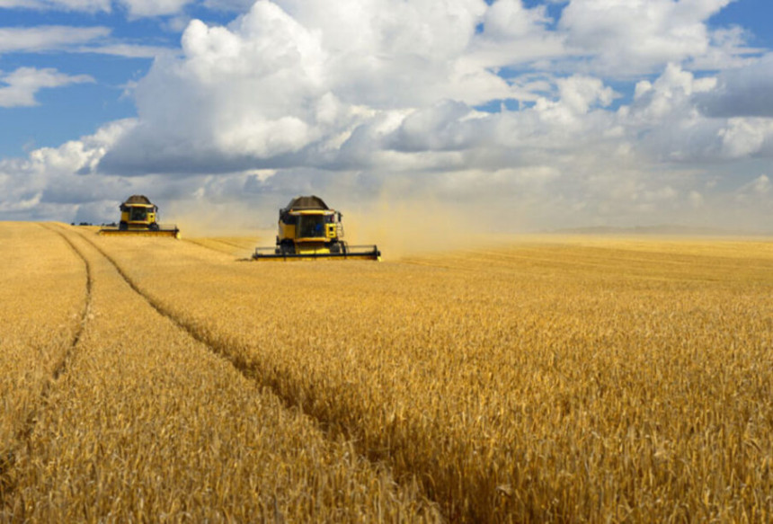 SAD ne sprečavaju izvoz ruskog žita i đubriva