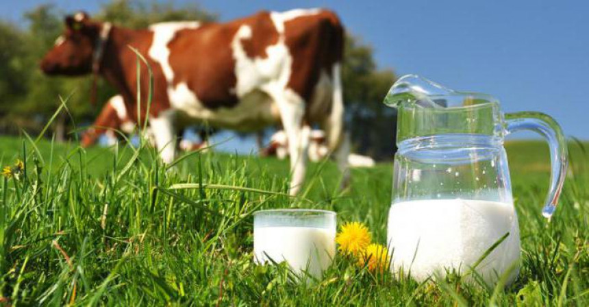 Farmeri u Srpskoj za litar nafte prodaju četiri litra mlijeka