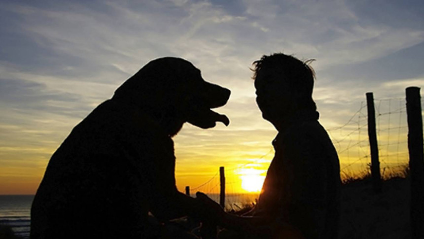 Napustila posao advokata i radi kao vidovnjak za kućne ljubimce!
