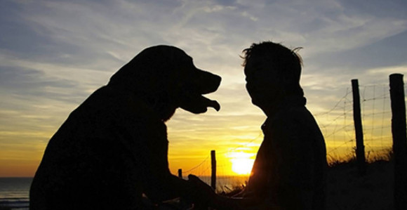 Napustila posao advokata i radi kao vidovnjak za kućne ljubimce!