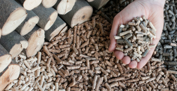 Vlada RS traži zabranu izvoza trupaca i peleta